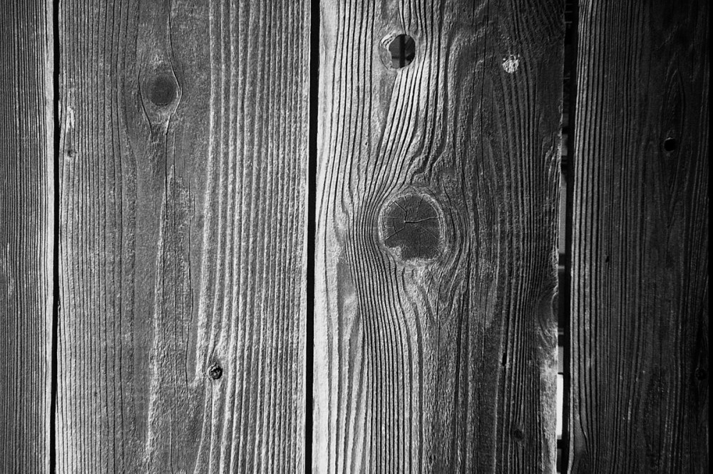 Fence_Ricoh_F-33_T-Max_400